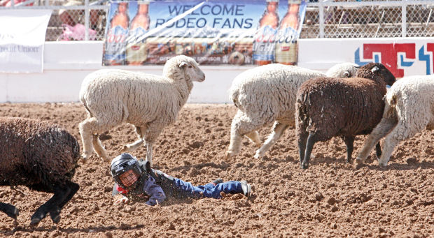 Rodeo infografÃa (LE)
